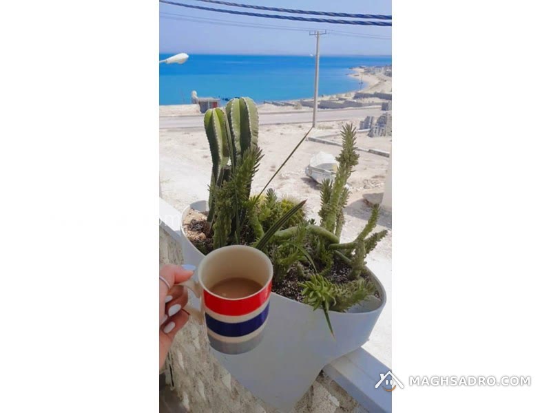 عکس ۶ از اقامتگاه بادگیر سفید جزیره هنگام
